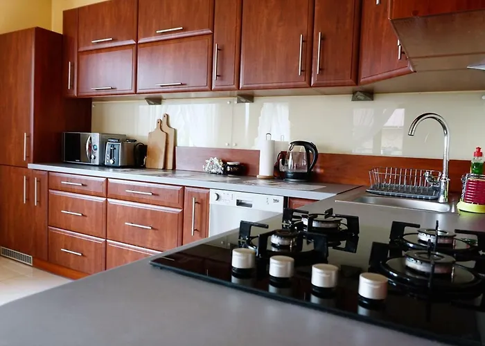 Olczanski Dom Vila *