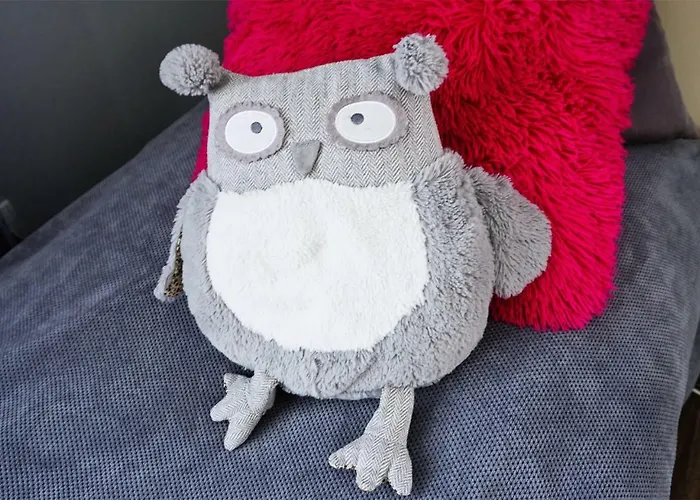 וילה Olczanski Dom *